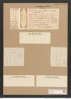 Homoeocladia filiformis W. Sm. (de-Toni-Nr.: Genus 48, Species 2104) Zeichnungen Sammlung Grunow Nr. 4582 (NHMW-BOT-W0372592)